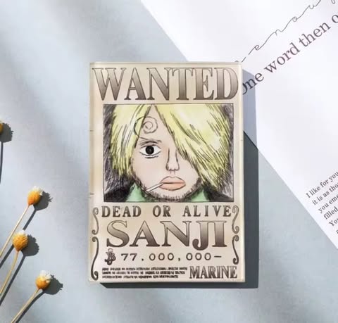 Aimant - One piece