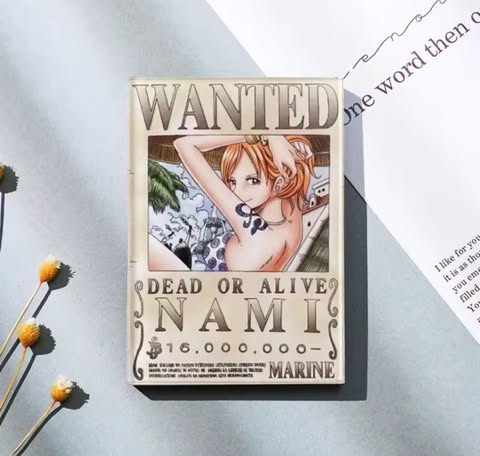 Aimant - One piece