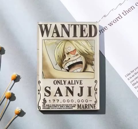 Aimant - One piece