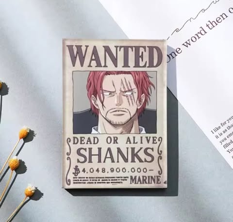 Aimant - One piece