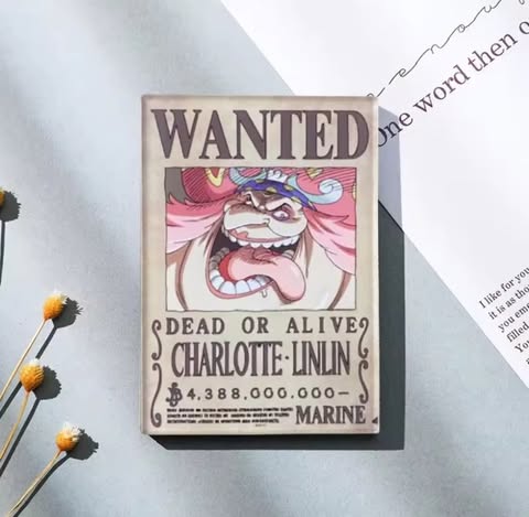 Aimant - One piece