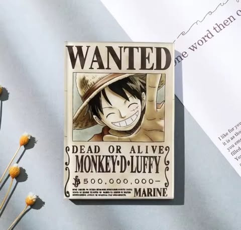 Aimant - One piece